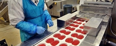 Food Industry